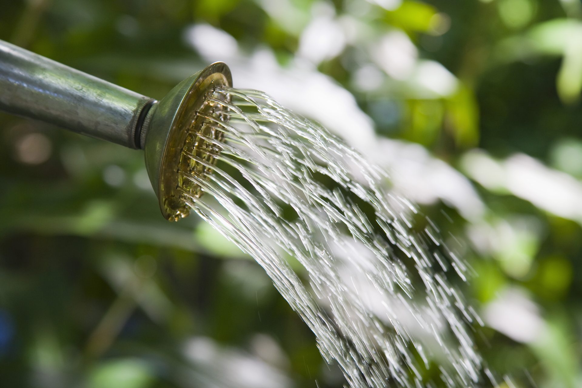 watering can tool garden